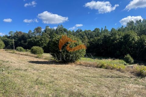 Farm i Tabua, Coimbra, Tabua - € 160.000 | Ref: MAS_127 - foto 22