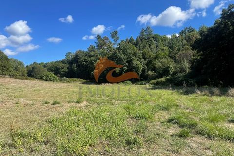 Farm i Tabua, Coimbra, Tabua - € 160.000 | Ref: MAS_127 - foto 23