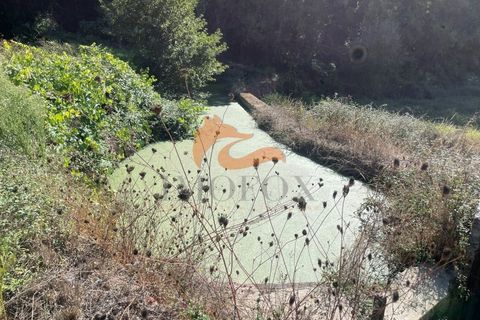 Farm i Tabua, Coimbra, Tabua - € 160.000 | Ref: MAS_127 - foto 24