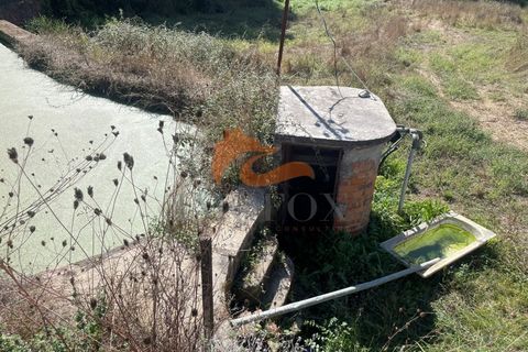 Farm i Tabua, Coimbra, Tabua - € 160.000 | Ref: MAS_127 - foto 25