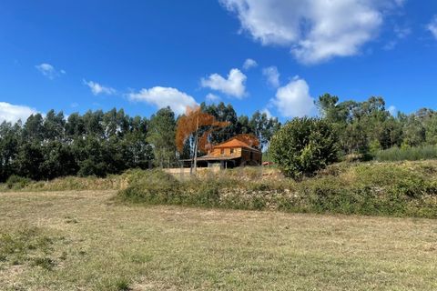 Farm i Tabua, Coimbra, Tabua - € 160.000 | Ref: MAS_127 - foto 27