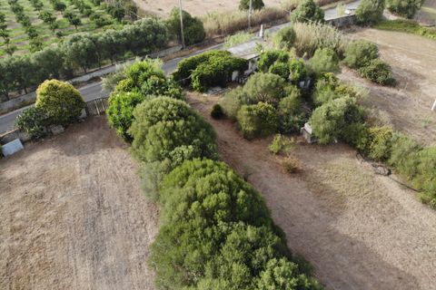 Villa a San Sperate, Sud Sardegna, San Sperate - € 59.000 | Ref: SSP536 - foto 16