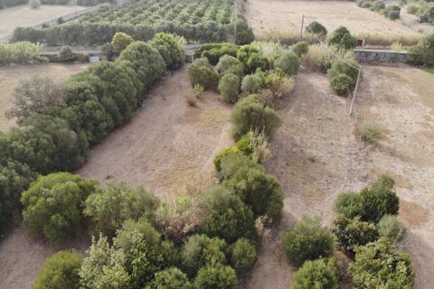 Villa a San Sperate, Sud Sardegna, San Sperate - € 59.000 | Ref: SSP536 - foto 17
