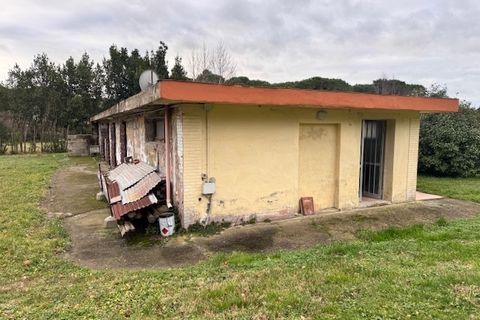 Villa a Collesalvetti, Livorno, Collesalvetti - € 310.000 | Ref: 7516 - foto 5