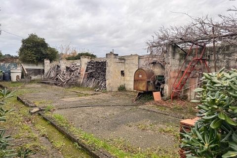 Villa a Collesalvetti, Livorno, Collesalvetti - € 310.000 | Ref: 7516 - foto 25