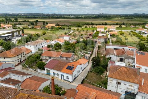 Villa i Coimbra, Coimbra, Coimbra - € 214.900 | Ref: HMCAS_59 - foto 42