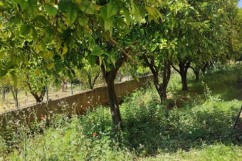 Villa a Campagna, Salerno, Campagna - € 250.000 | Ref: 578 - foto 15