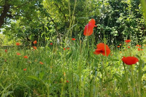 Villa a Campagna, Salerno, Campagna - € 250.000 | Ref: 578 - foto 21