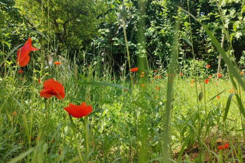 Villa a Campagna, Salerno, Campagna - € 250.000 | Ref: 578 - foto 22