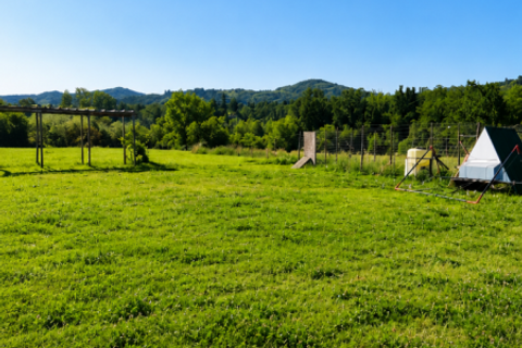 Terra a Traversetolo, Parma, Traversetolo - € 65.000 | Ref: parma759 - foto 4