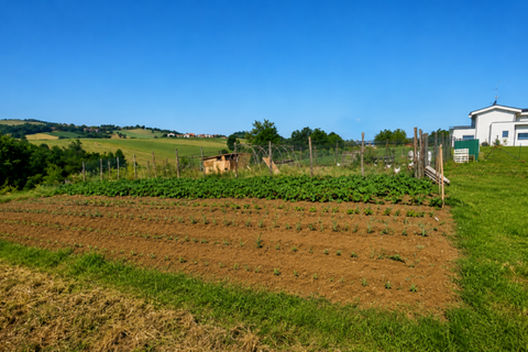 Terra a Traversetolo, Parma, Traversetolo - € 65.000 | Ref: parma759 - foto 5