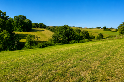 Terra a Traversetolo, Parma, Traversetolo - € 65.000 | Ref: parma759 - foto 6