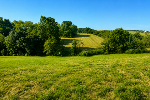 Terra a Traversetolo, Parma, Traversetolo - € 65.000 | Ref: parma759 - foto 7