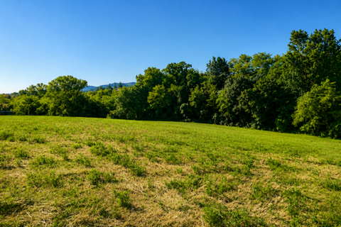 Terra a Traversetolo, Parma, Traversetolo - € 65.000 | Ref: parma759 - foto 8