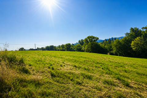 Terra a Traversetolo, Parma, Traversetolo - € 65.000 | Ref: parma759 - foto 9