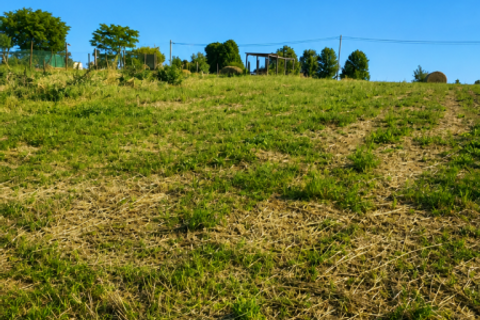 Terra a Traversetolo, Parma, Traversetolo - € 65.000 | Ref: parma759 - foto 10
