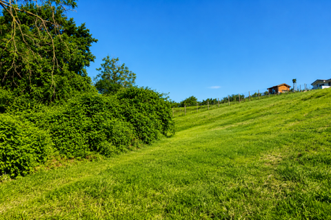 Terra a Traversetolo, Parma, Traversetolo - € 65.000 | Ref: parma759 - foto 13