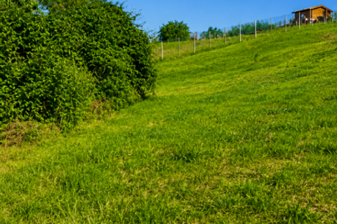 Terra a Traversetolo, Parma, Traversetolo - € 65.000 | Ref: parma759 - foto 14