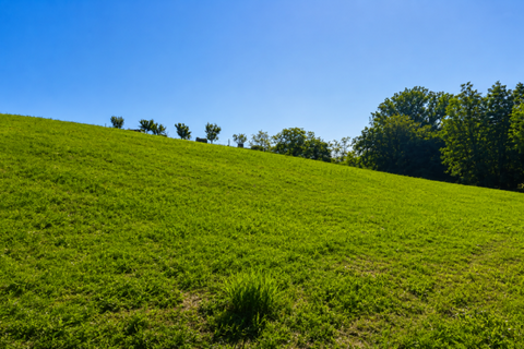 Terra a Traversetolo, Parma, Traversetolo - € 65.000 | Ref: parma759 - foto 15