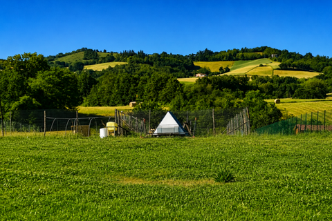Terra a Traversetolo, Parma, Traversetolo - € 65.000 | Ref: parma759 - foto 24