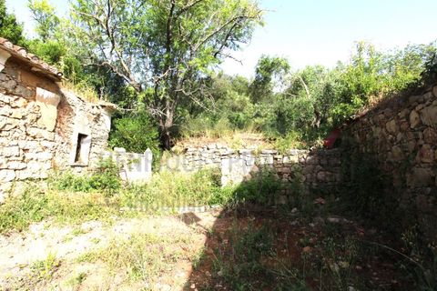 Helårsgrund i Estoi, Faro, Estoi - € 600.000 | Ref: SÒL111 - foto 11