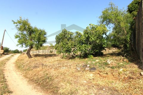 Helårsgrund i Estoi, Faro, Estoi - € 600.000 | Ref: SÒL111 - foto 12