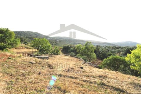 Helårsgrund i Estoi, Faro, Estoi - € 600.000 | Ref: SÒL111 - foto 16