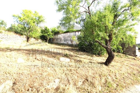 Helårsgrund i Estoi, Faro, Estoi - € 600.000 | Ref: SÒL111 - foto 17