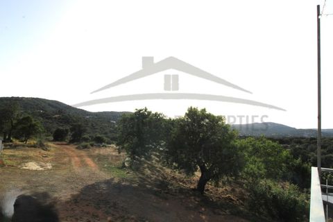 Helårsgrund i Estoi, Faro, Estoi - € 600.000 | Ref: SÒL111 - foto 24