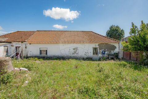 Villa i Lourinha, Lisbon, Lourinha - € 290.000 | Ref: 124181033-267 - foto 23
