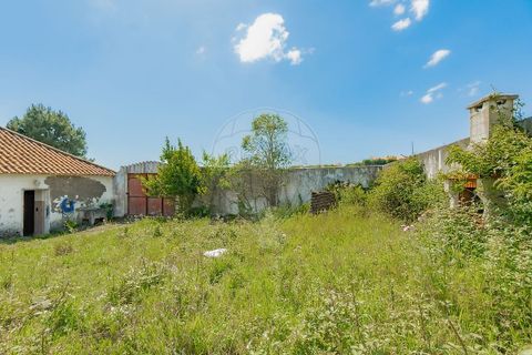 Villa i Lourinha, Lisbon, Lourinha - € 290.000 | Ref: 124181033-267 - foto 29