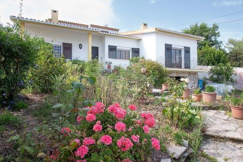 Villa i Bombarral, Leiria, Bombarral - € 515.000 | Ref: 126581021-20 - foto 18