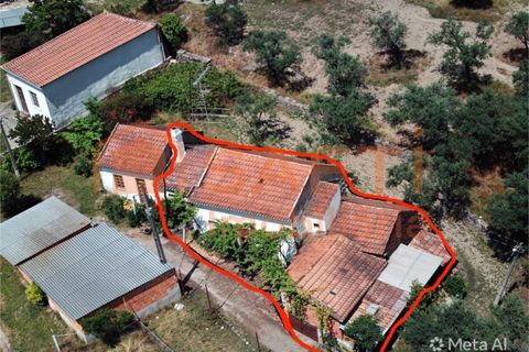 Villa i Castelo Branco, Castelo Branco, Castelo Branco - € 70.000 | Ref: SAFTI:008283 - foto 4