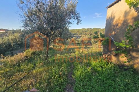 Villa i Castelo Branco, Castelo Branco, Castelo Branco - € 70.000 | Ref: SAFTI:008283 - foto 14