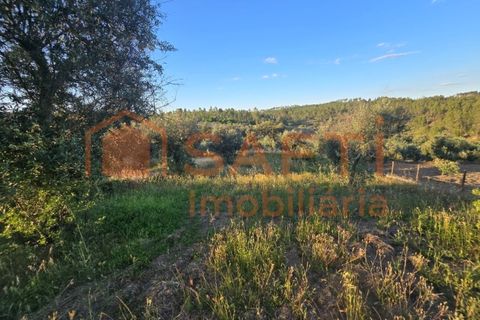 Villa i Castelo Branco, Castelo Branco, Castelo Branco - € 70.000 | Ref: SAFTI:008283 - foto 19
