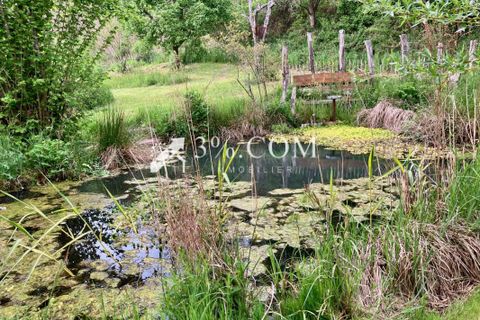 Villa a Breidenbach, Moselle, Breidenbach - € 298.700 | Ref: 293_V3770064062 - foto 17