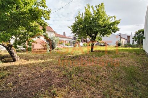 Duplex i Ansiao, Leiria, Ansiao - € 350.000 | Ref: SAFTI:008181 - foto 50