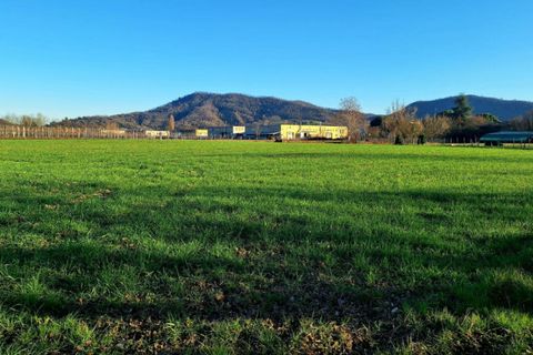Terra a Torreglia, Padua, Torreglia - € 380.000 | Ref: TR301 - foto 2