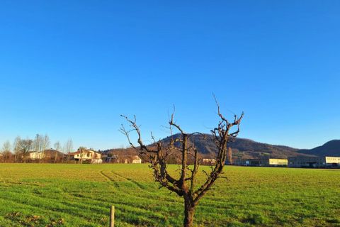 Terra a Torreglia, Padua, Torreglia - € 380.000 | Ref: TR301 - foto 3