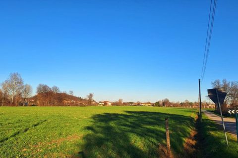 Terra a Torreglia, Padua, Torreglia - € 380.000 | Ref: TR301 - foto 4