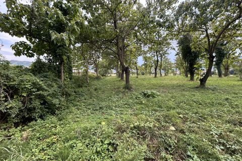 Terra a Torreglia, Padua, Torreglia - € 380.000 | Ref: TR301 - foto 6