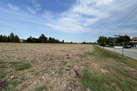 Terra a Torreglia, Padua, Torreglia - € 380.000 | Ref: TR301 - foto 9