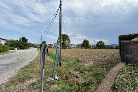 Terra a Torreglia, Padua, Torreglia - € 380.000 | Ref: TR301 - foto 12