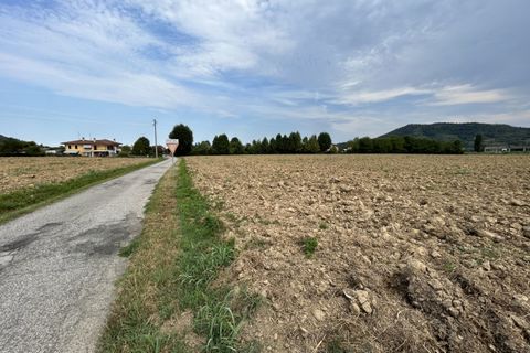 Terra a Torreglia, Padua, Torreglia - € 380.000 | Ref: TR301 - foto 14