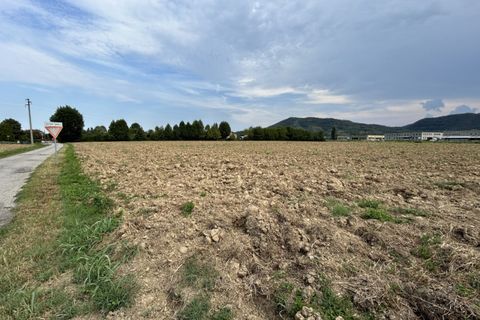 Terra a Torreglia, Padua, Torreglia - € 380.000 | Ref: TR301 - foto 18