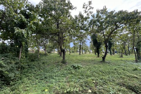 Terra a Torreglia, Padua, Torreglia - € 180.000 | Ref: TR302 - foto 6