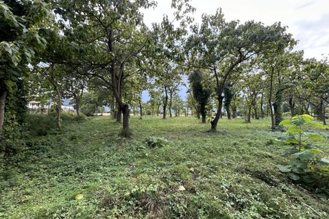 Terra a Torreglia, Padua, Torreglia - € 180.000 | Ref: TR302 - foto 8