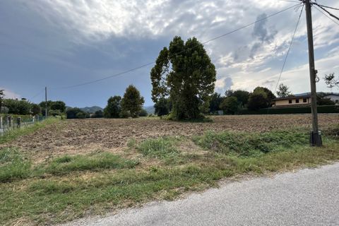 Terra a Torreglia, Padua, Torreglia - € 180.000 | Ref: TR302 - foto 14