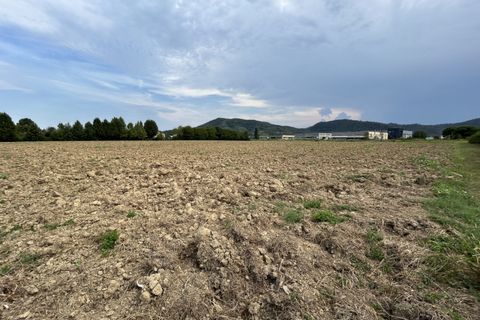 Terra a Torreglia, Padua, Torreglia - € 180.000 | Ref: TR302 - foto 16