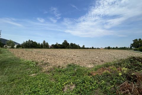 Terra a Torreglia, Padua, Torreglia - € 180.000 | Ref: TR302 - foto 22